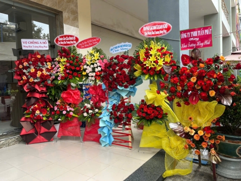 Khai Trương Văn Phòng Mới
